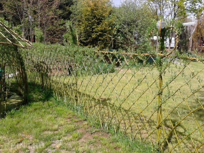 Płot wierzbowy