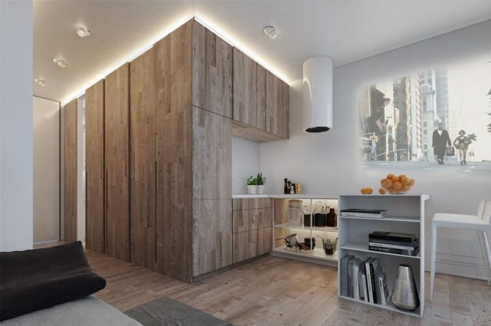 Projekt mieszkania o powierzchni 32 m2