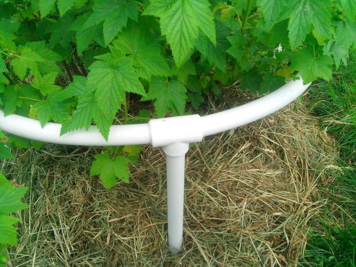 podpory do krzewów