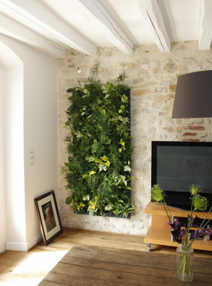ściana phytowall przy telewizorze