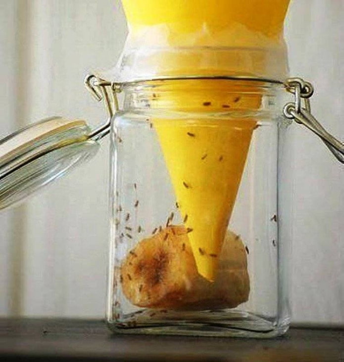 DIY pułapka na komary
