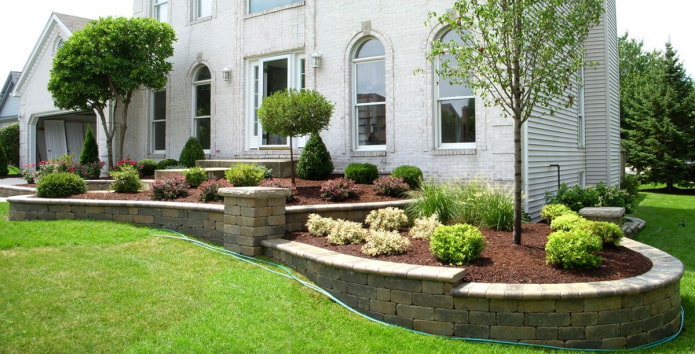 Topiary przy domu