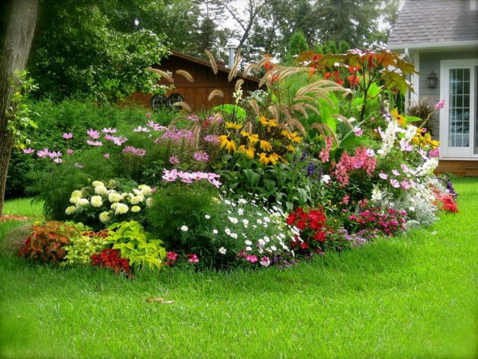 kwiaty w mixborder