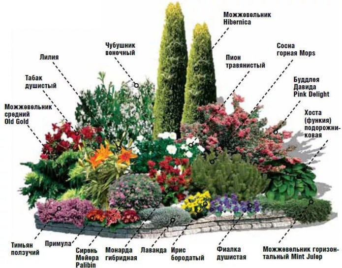 mixborder z bzem