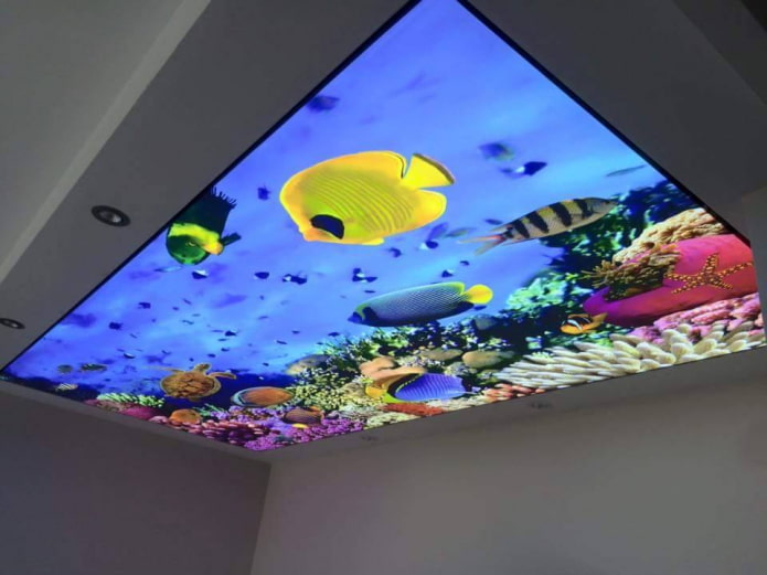 sufit z nadrukiem 3D imitującym akwarium