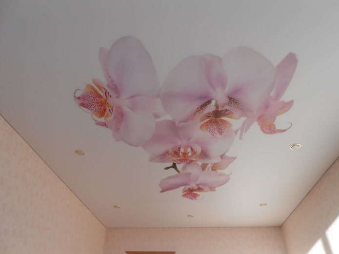 sufit napinany z obrazem orchidei