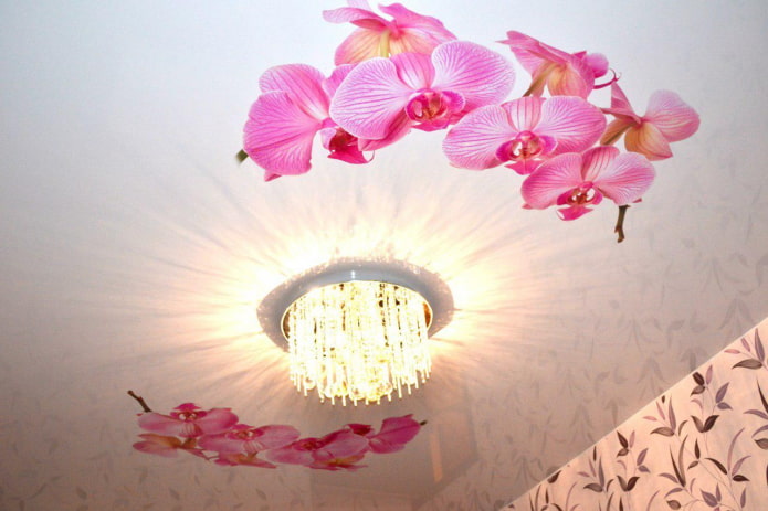 płótno naciągnięte z obrazem orchidei