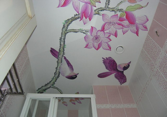 matowy sufit napinany z nadrukiem fotograficznym