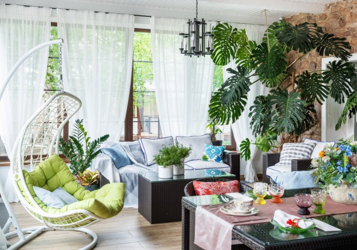 Monstera na werandzie