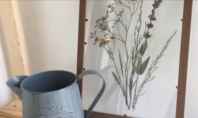 herbarium we wnętrzu