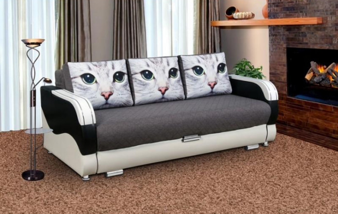 sofa ze zdjęciem kota