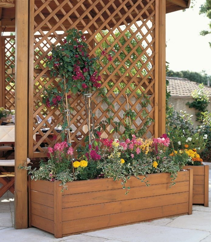 kwiatowy kwietnik trellis