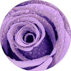 Tapeta 3D