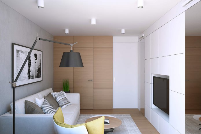projekt salonu w jednopokojowym mieszkaniu o powierzchni 43 m2.