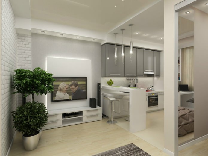projekt jednopokojowego mieszkania o powierzchni 45 m2.