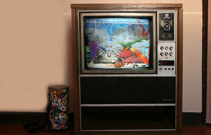 Akwarium z telewizora
