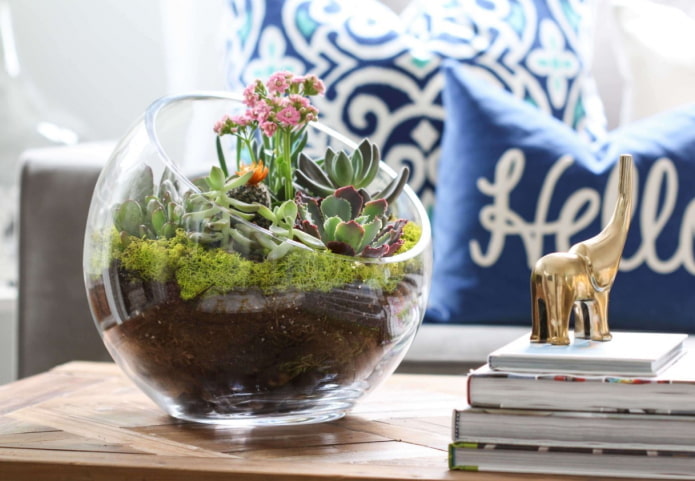 florarium w salonie